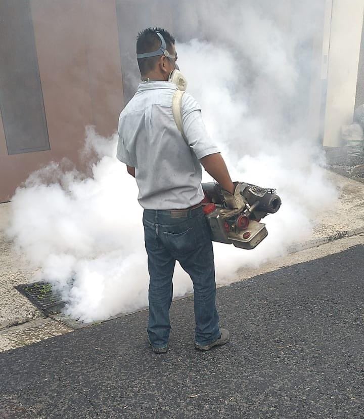 dengue 2