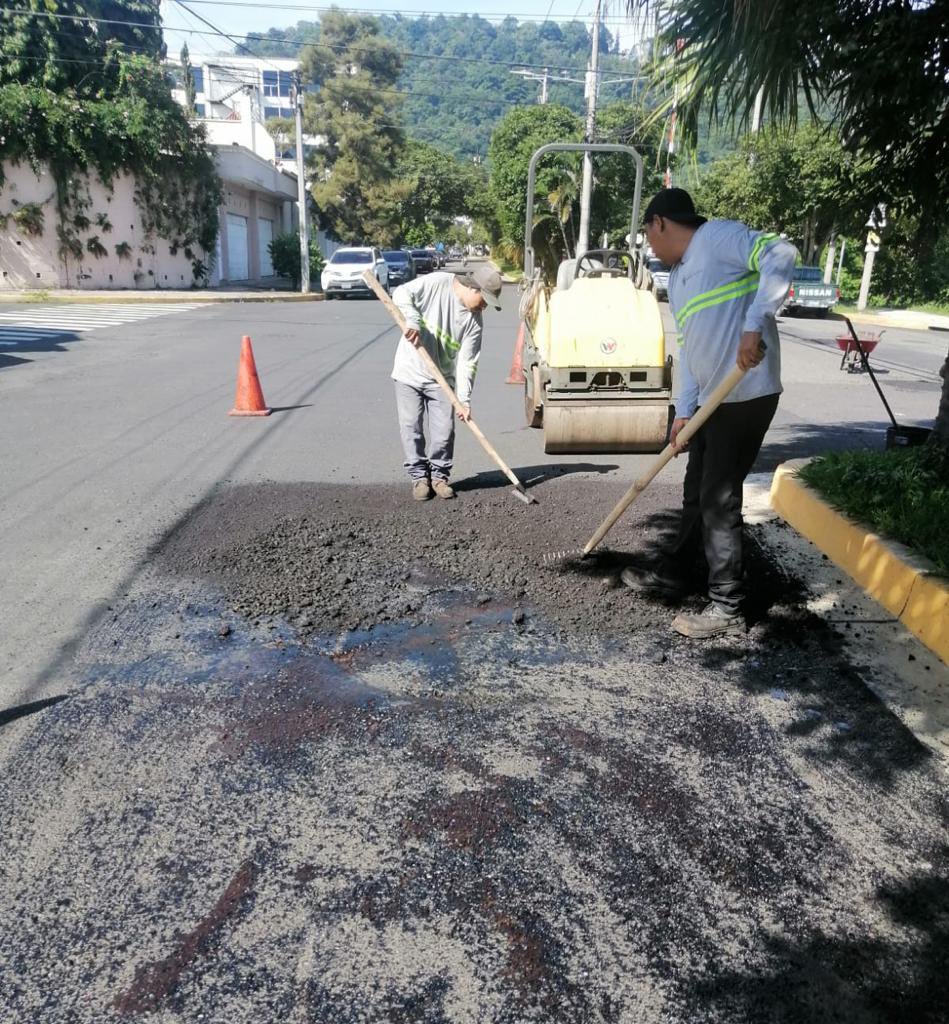 BACHEO1