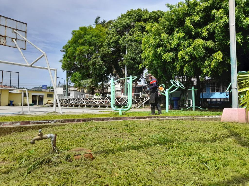 CHAPODA EN JARDINES DE LA HACIENDA